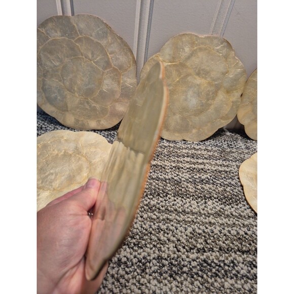 6 Capiz Shell Cork Backed Round With Scallop Edge Placemat/Trivets Phillipines - Picture 11 of 16